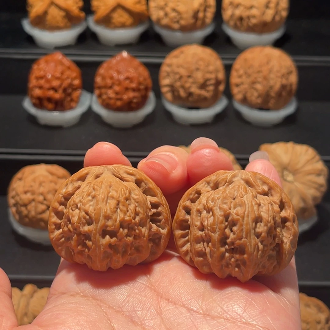 全品，精品，39白狮子180