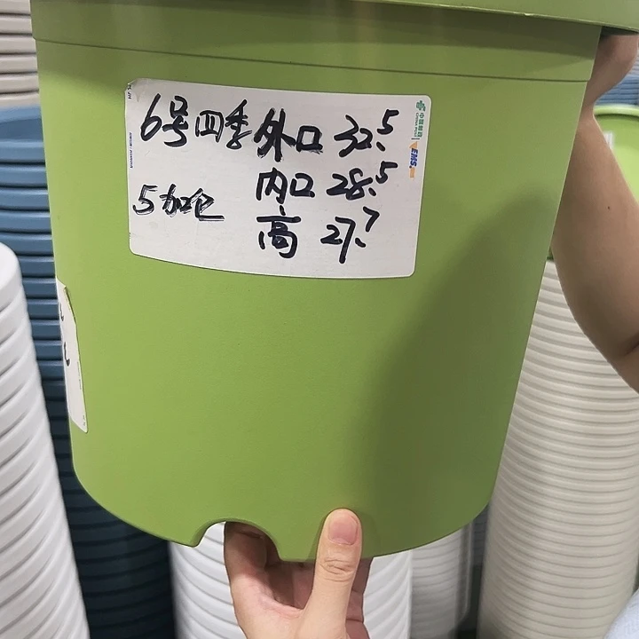 特价6号四季盆口32高28混色无托5只