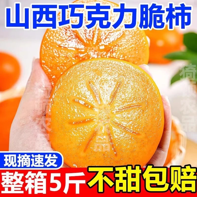 【蜂蜜脆柿】阳丰巧克力脆柿新鲜水果甜柿子脆甜现摘当季整箱硬柿子