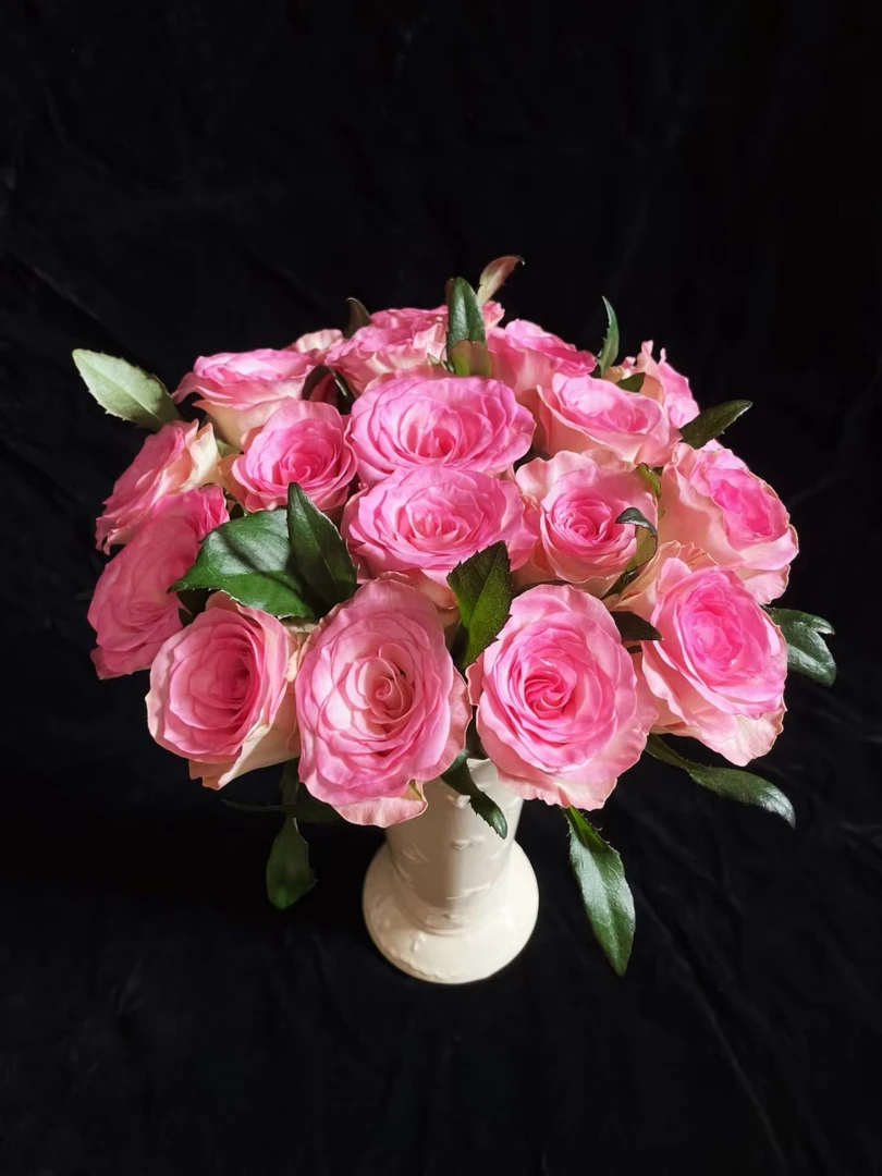 基地水精灵单头玫瑰鲜花基地直采直发顺丰包邮