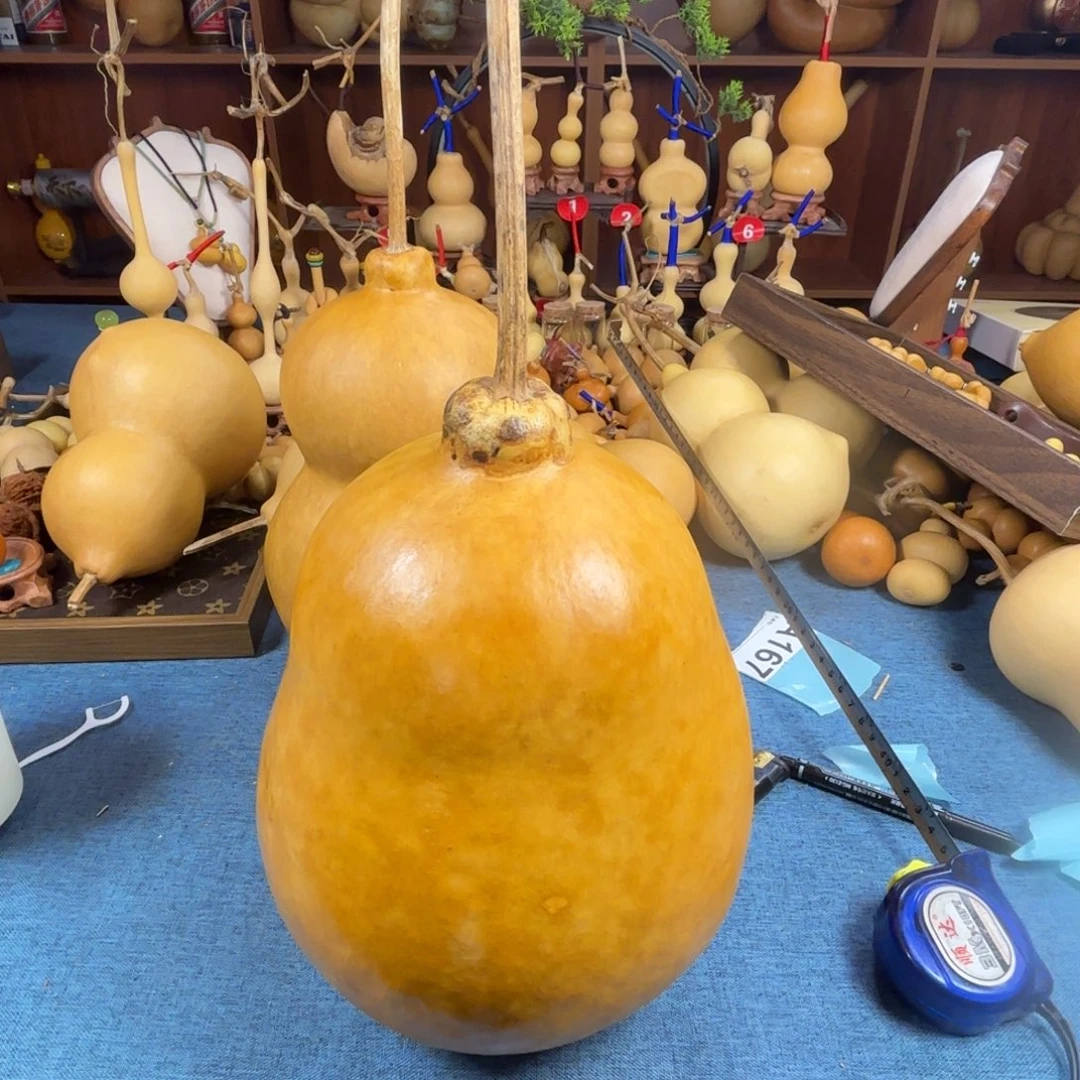 是***哎葫芦葫芦葫芦葫芦