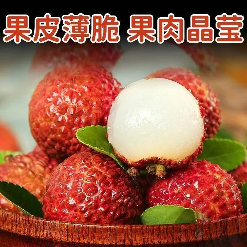 【3斤装】桂味荔枝1.5kg新鲜水果荔枝同城送广东省