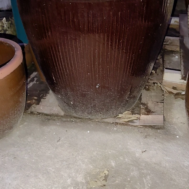 高度55口径65无孔