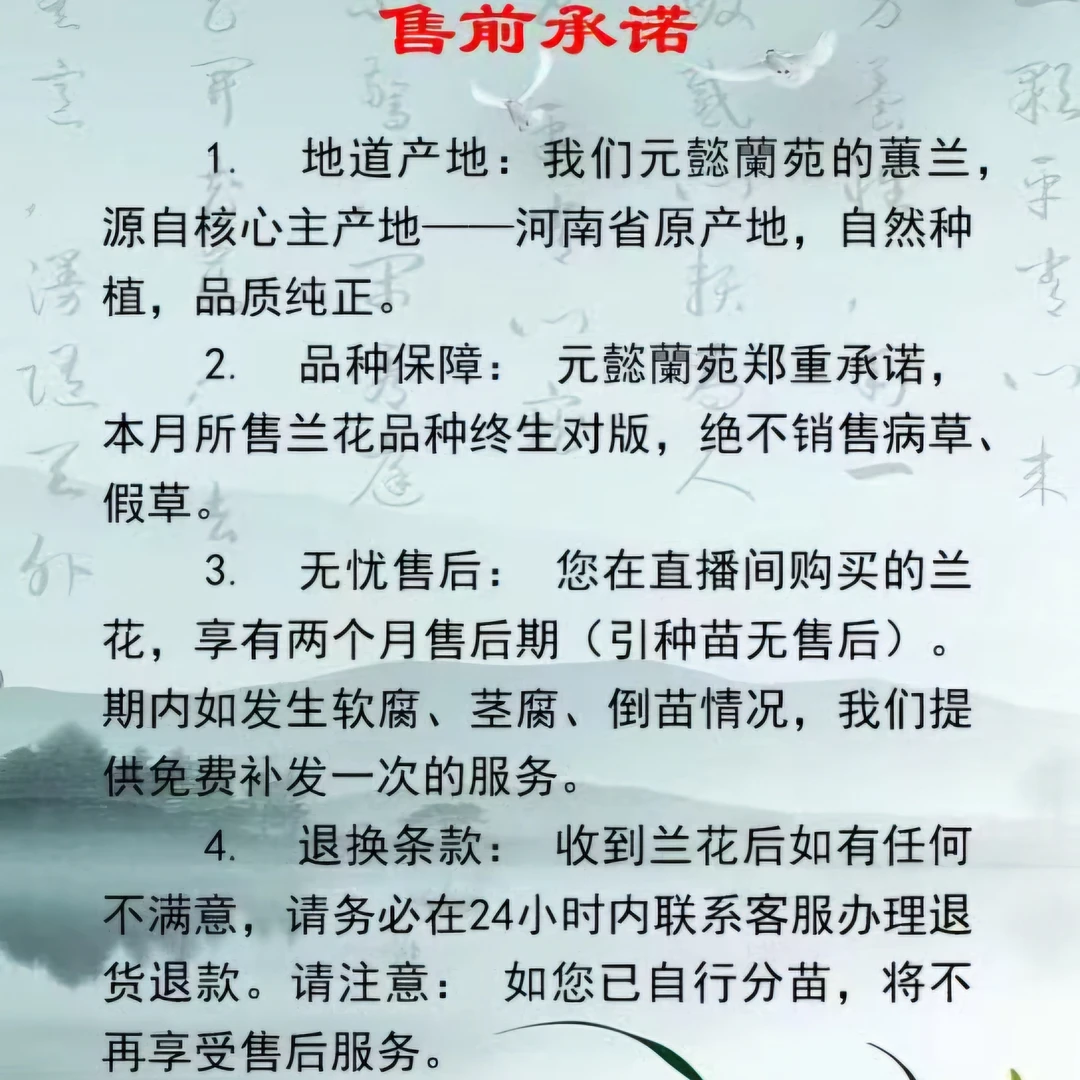 2号链接元懿兰苑直播间一物一拍兰花