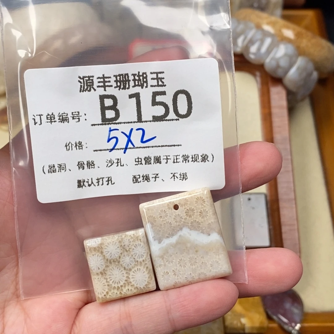 掉***牙未镶嵌颈饰硅化玉