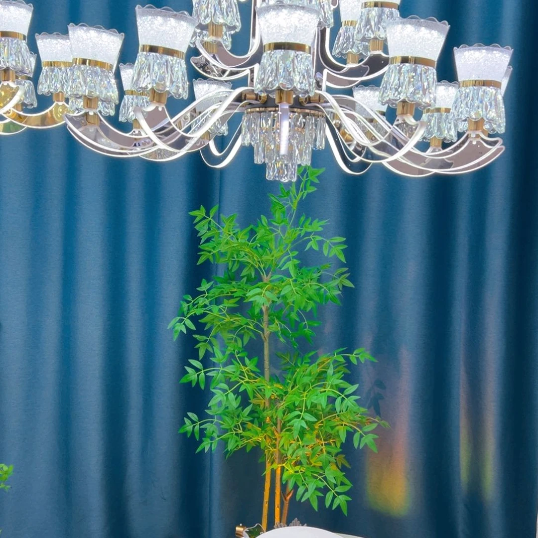 枝型吊灯12头一个