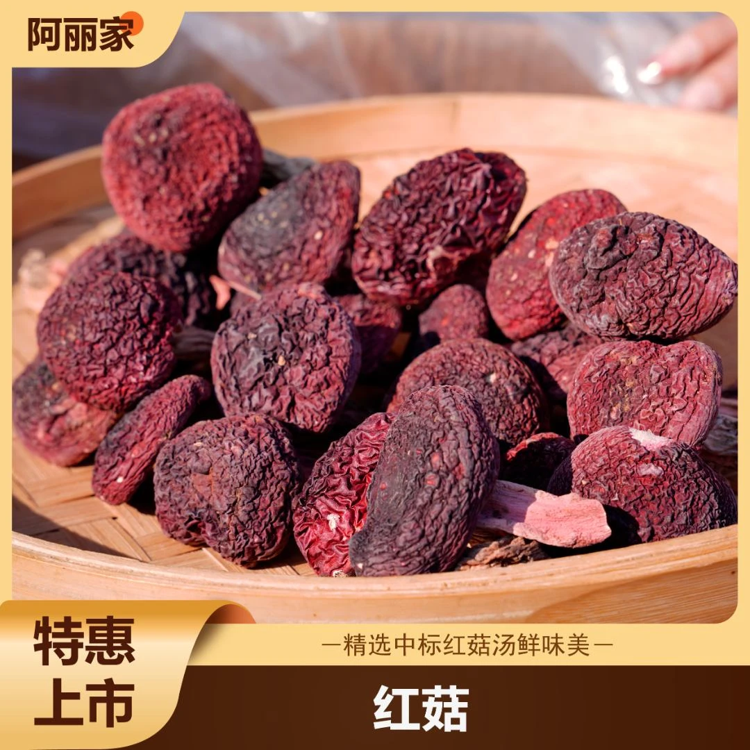 精挑福建深山中标红菇月子菇煲汤高品质营养