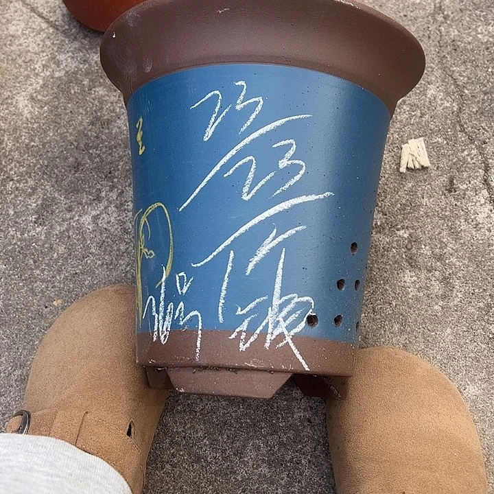 36…………………………………………