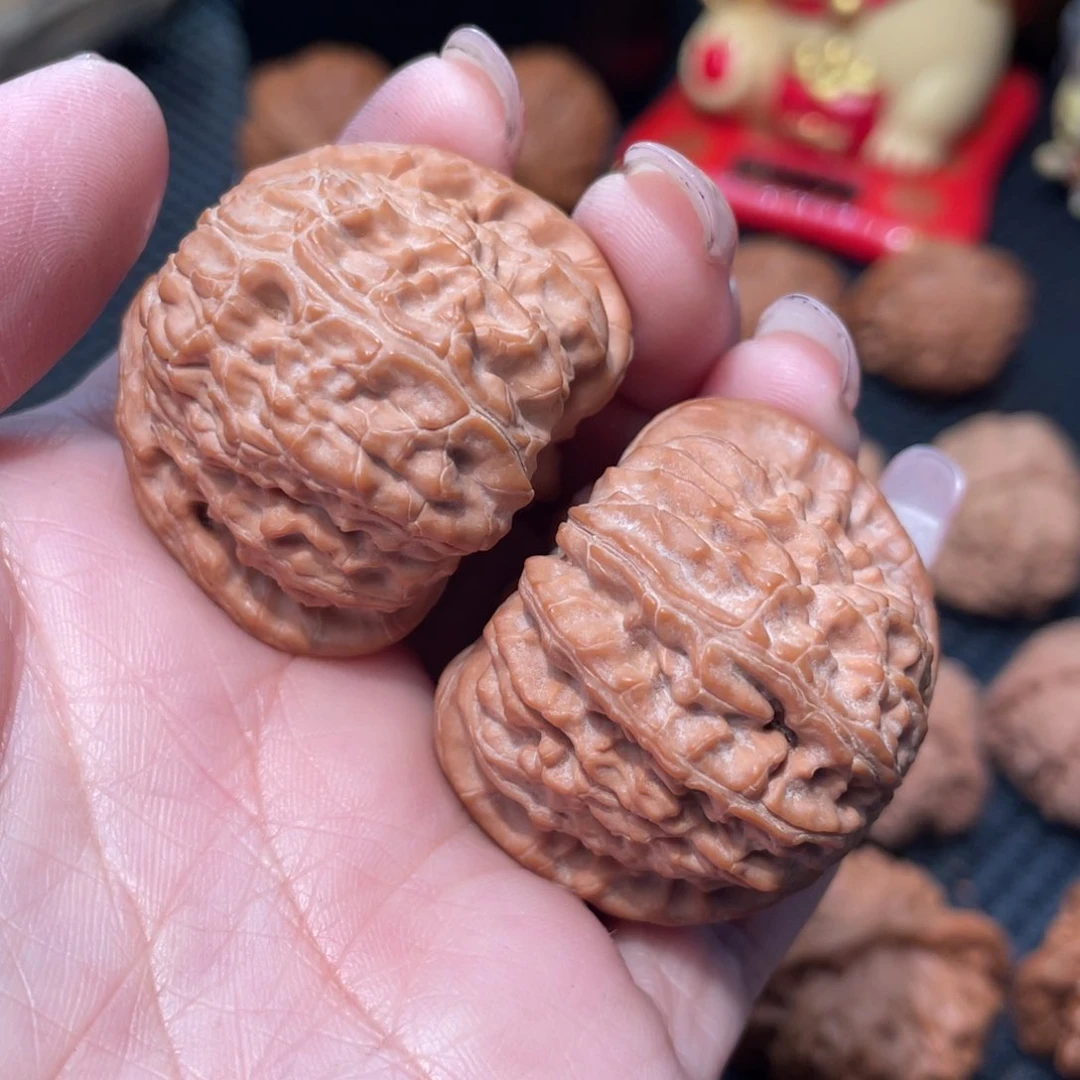 文玩核桃把件白狮子3.9全品