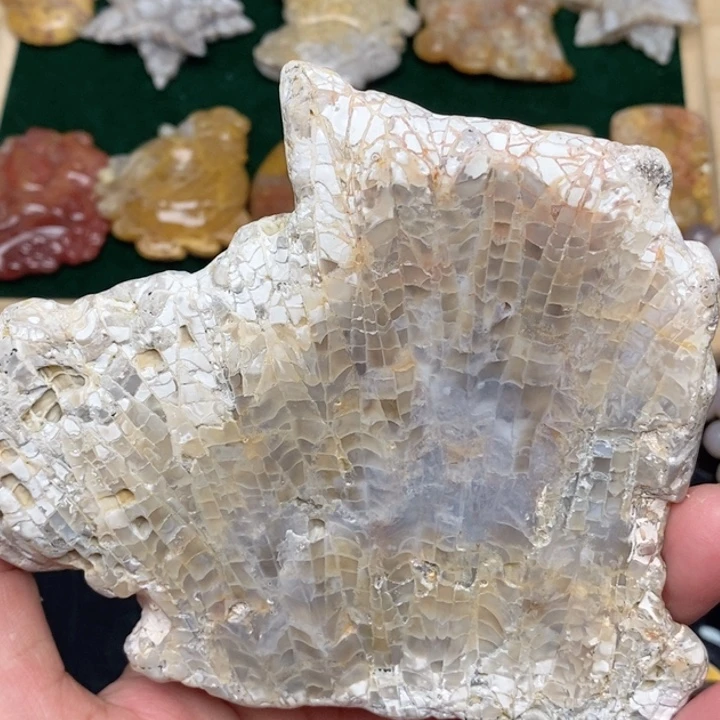 硅化珊瑚（珊瑚玉）手镯未镶嵌