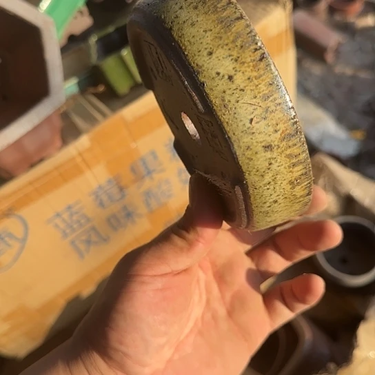 这一期太有意思咯好棒好可爱的小朋友呜呜小