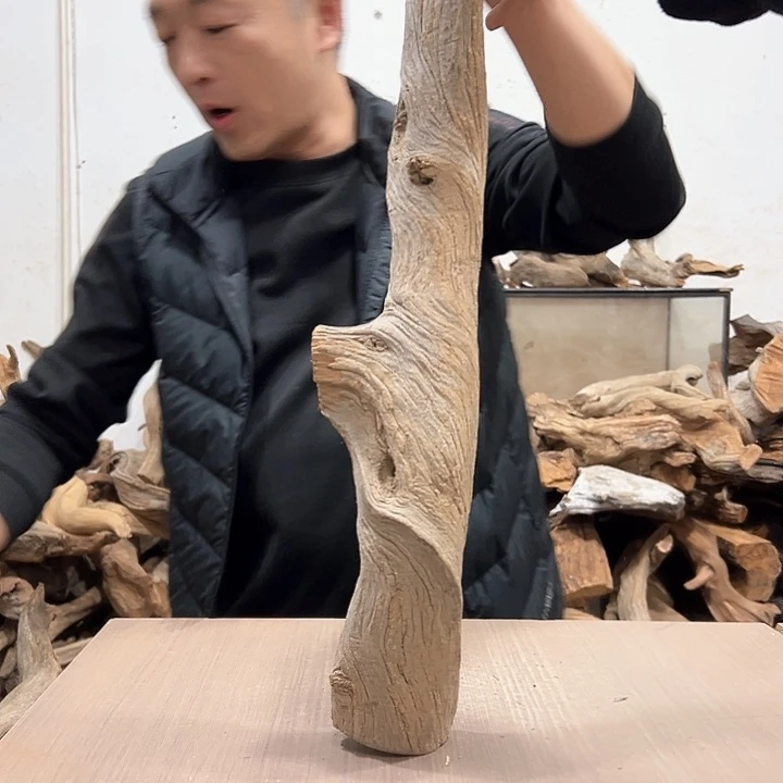 柏木钨**1我们的生活也是如此吧