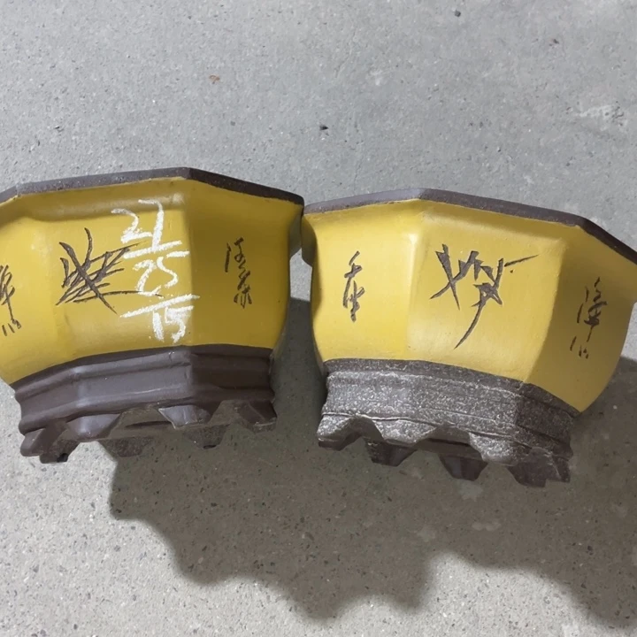 周深周深周深周深