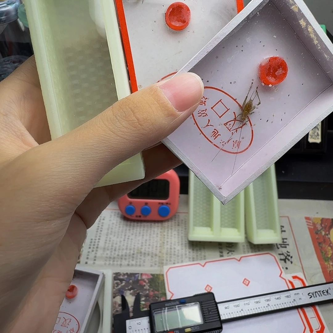 哈哈哈哈哈哈哈哈哈