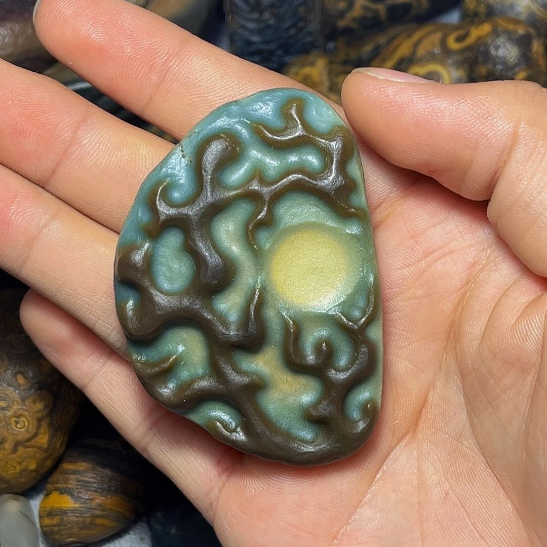 大叶紫檀（黑酸枝木类）憨**爸