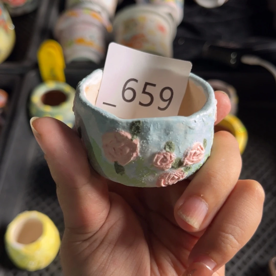 G*N659多肉花盆1个