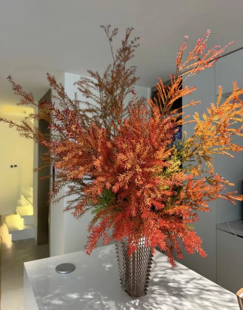 【秋意千层金】秋天的颜色千层金鲜切花材