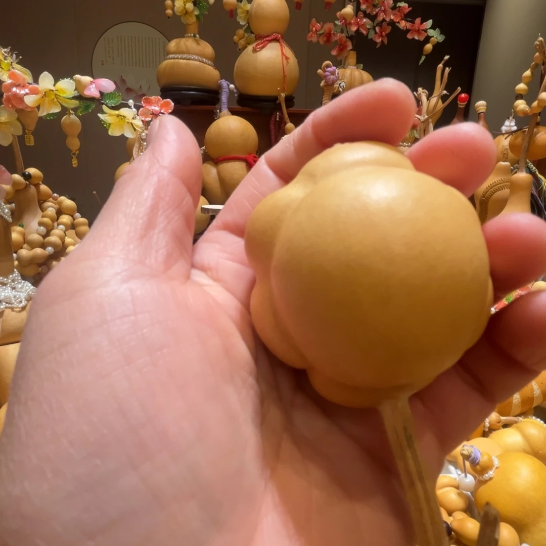 樱***仔太阳花葫芦真好看多宝