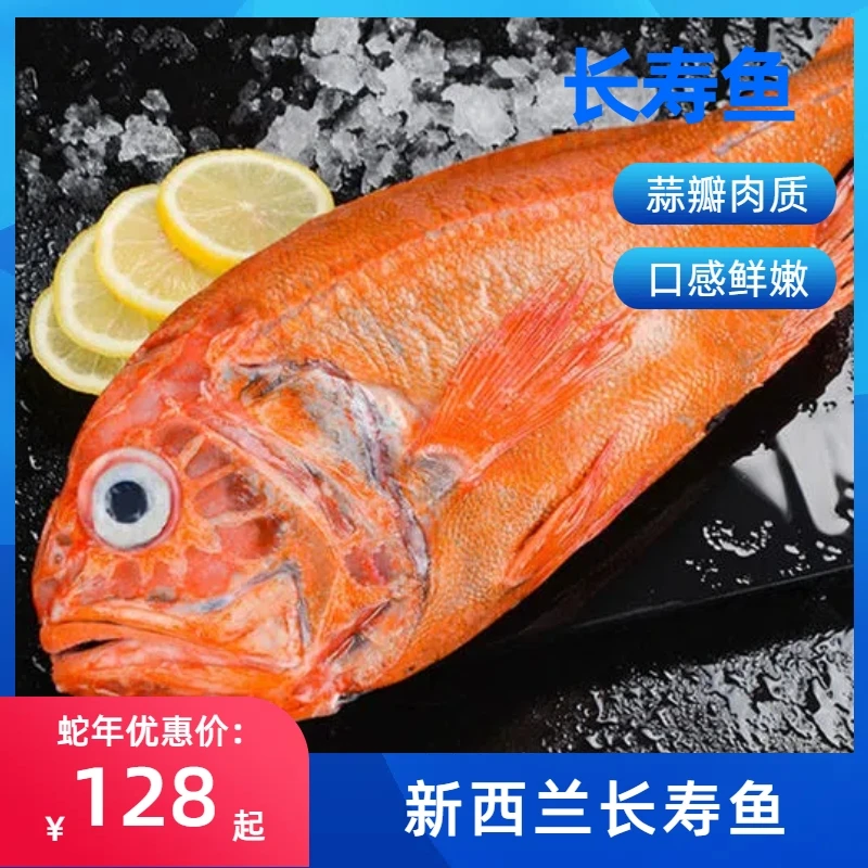 长寿鱼 新西兰长寿鱼