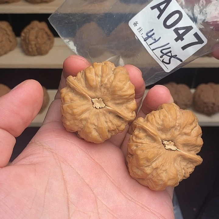 果***橙核桃A47蛤蟆头1111111