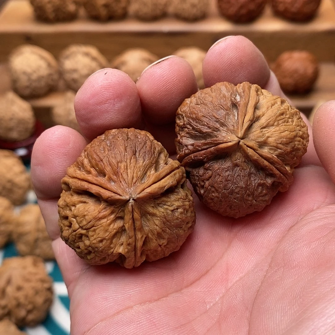 文玩核桃吊坠七彩正奔