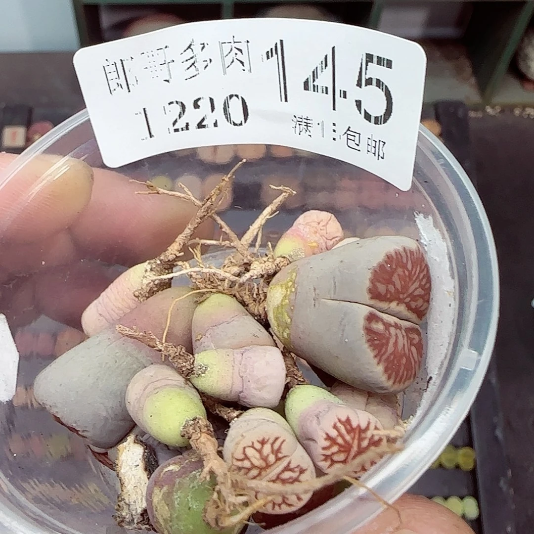 满满18包邮1220-145