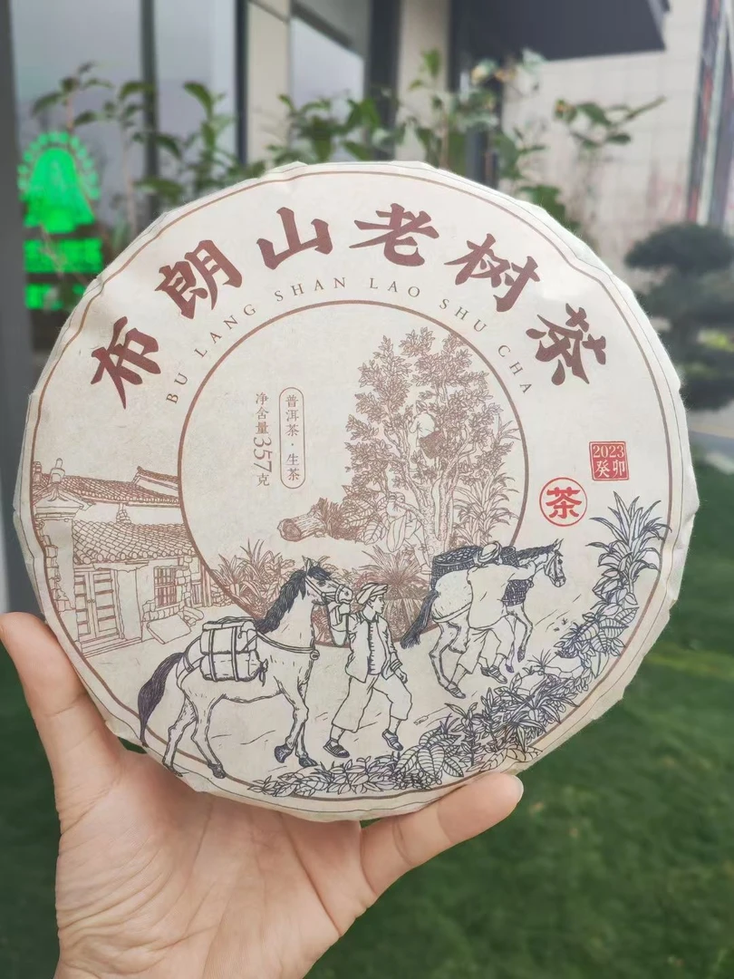 2023年布朗山老树生茶357g/饼 （老茶客必入，口感霸气强烈）