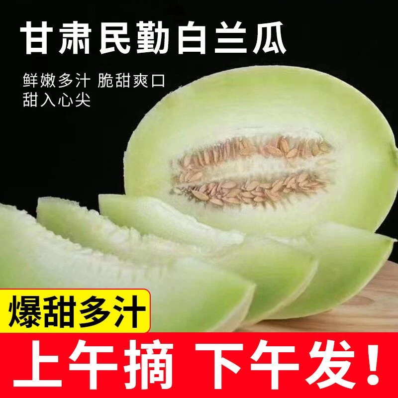 甘肃民勤银帝白兰瓜玉菇冰激凌蜜瓜3/6/8/9斤产地直发