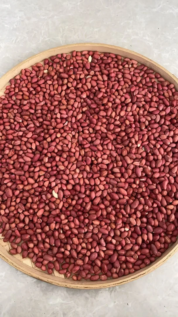 T【土-特-产】红皮花生-净含量500g