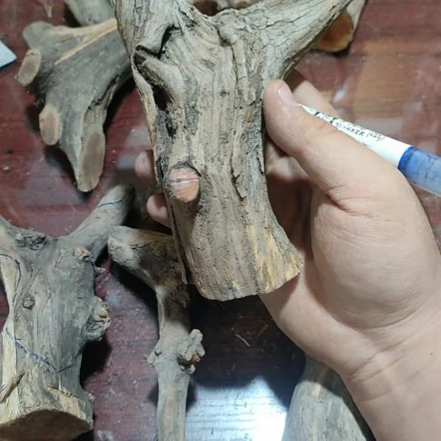 安***技核桃木/黑胡桃（胡桃木）