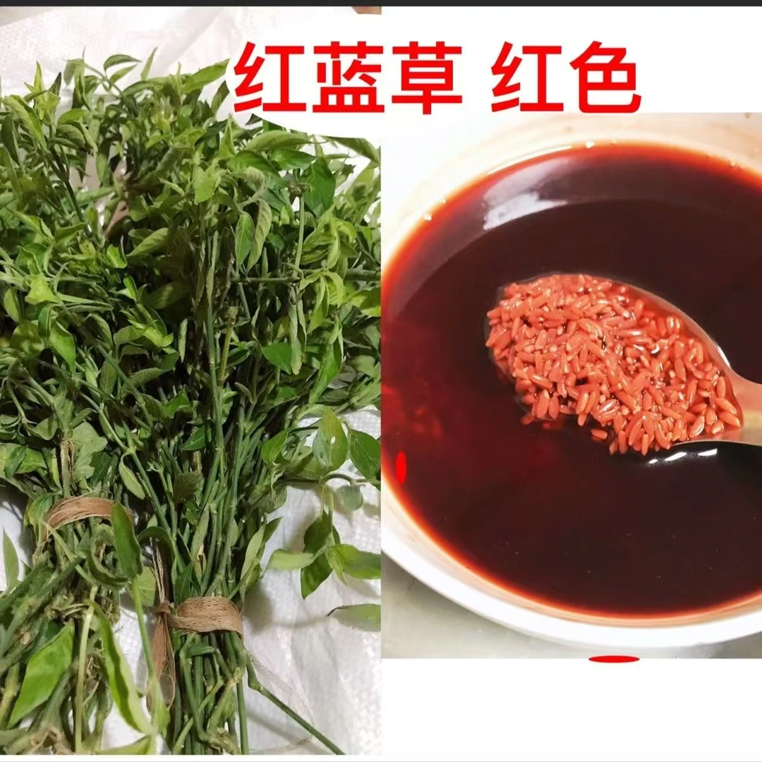 新鲜红蓝草包粽子紫蓝草红兰红色紫色草五色糯米饭植物染料材料包