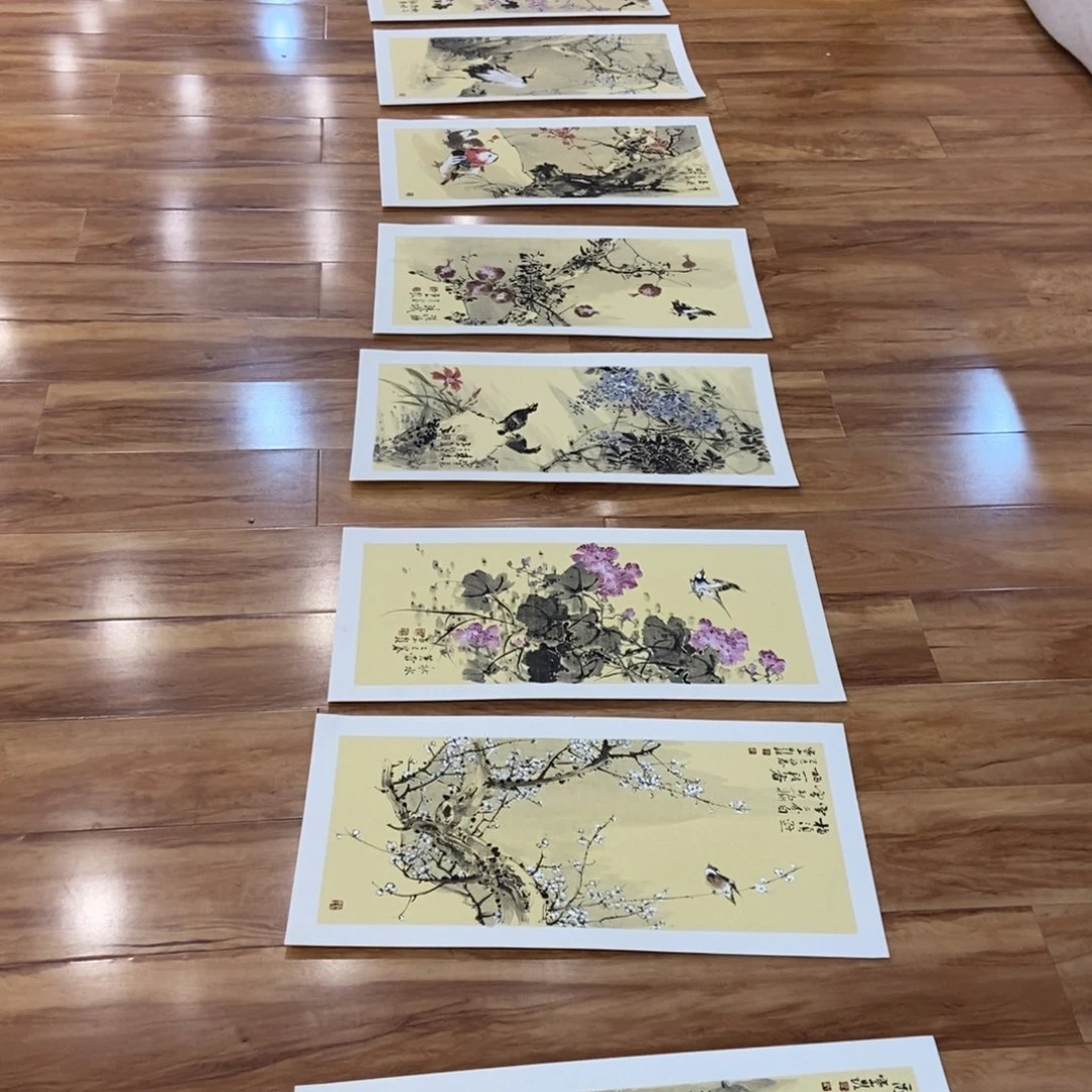 【闪购商品】国画乐*墨鱼精品墨鱼精品