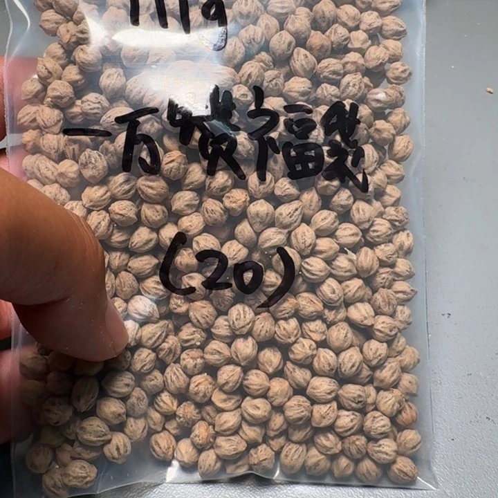 吊坠柏香籽/百香籽铁**蘑