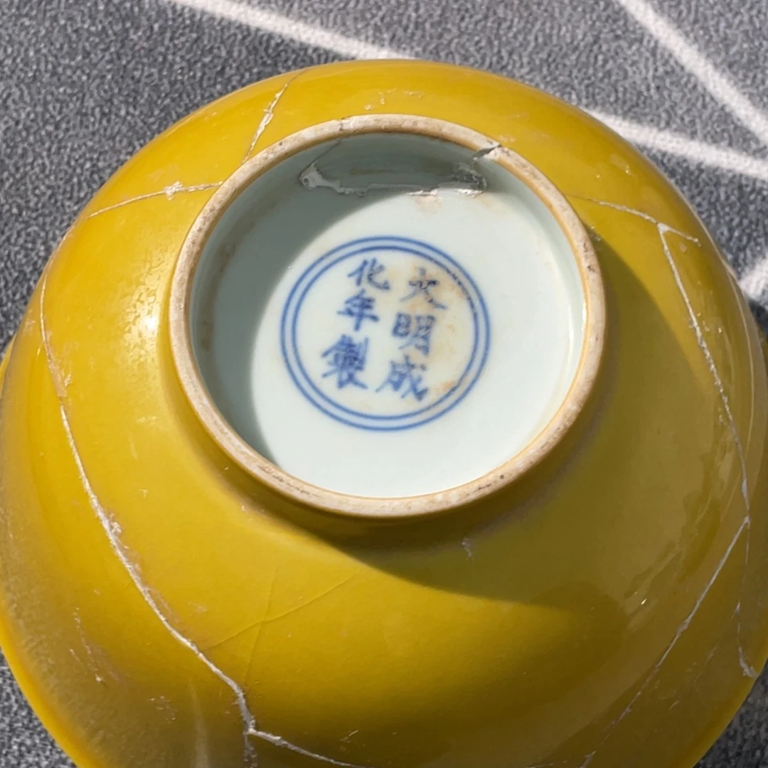 瓷片柳*黄釉碗标本