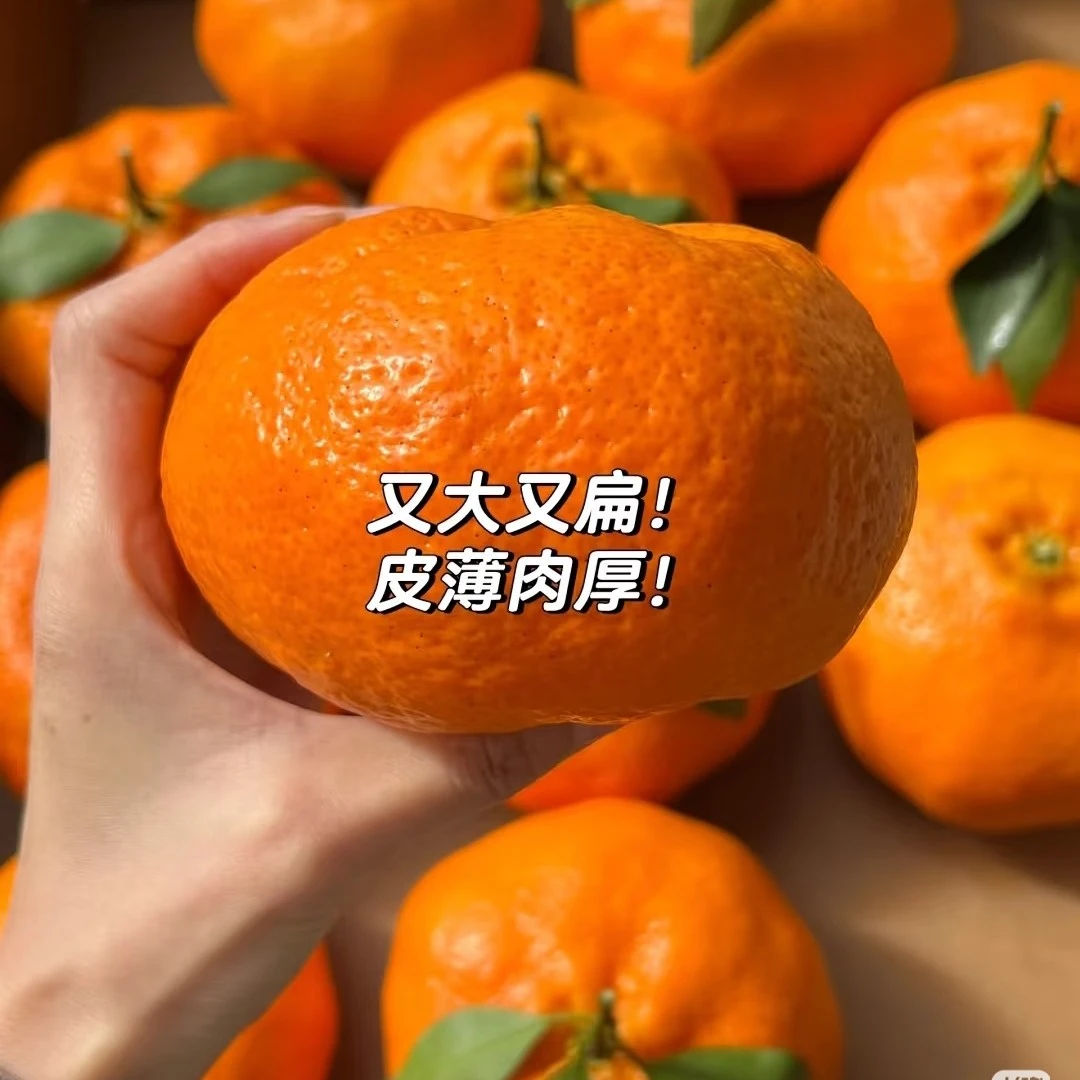 【甘平皇后】四川甘平柑橘1000g【1小时送货到家】四川省