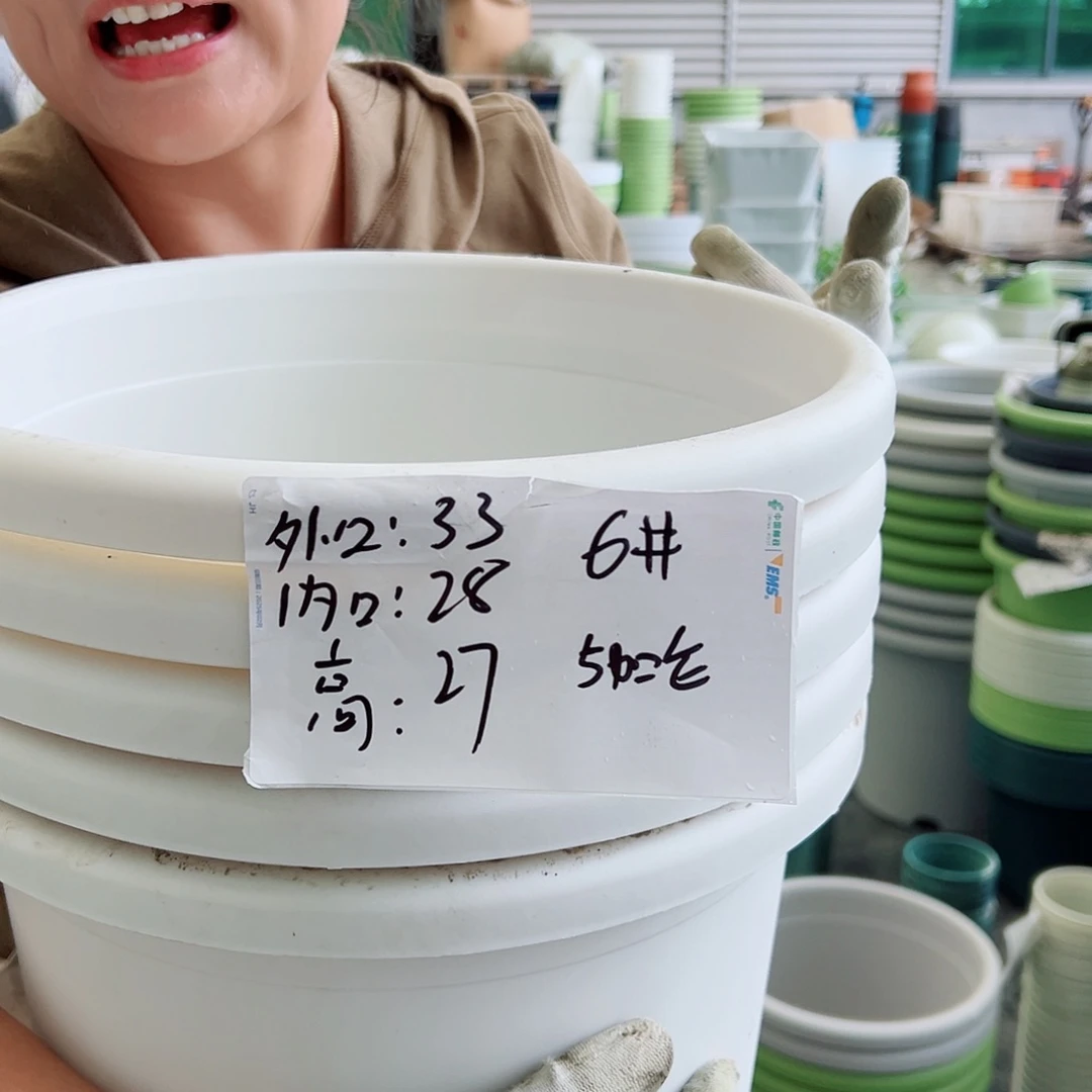 四季盆6#白色5个无托