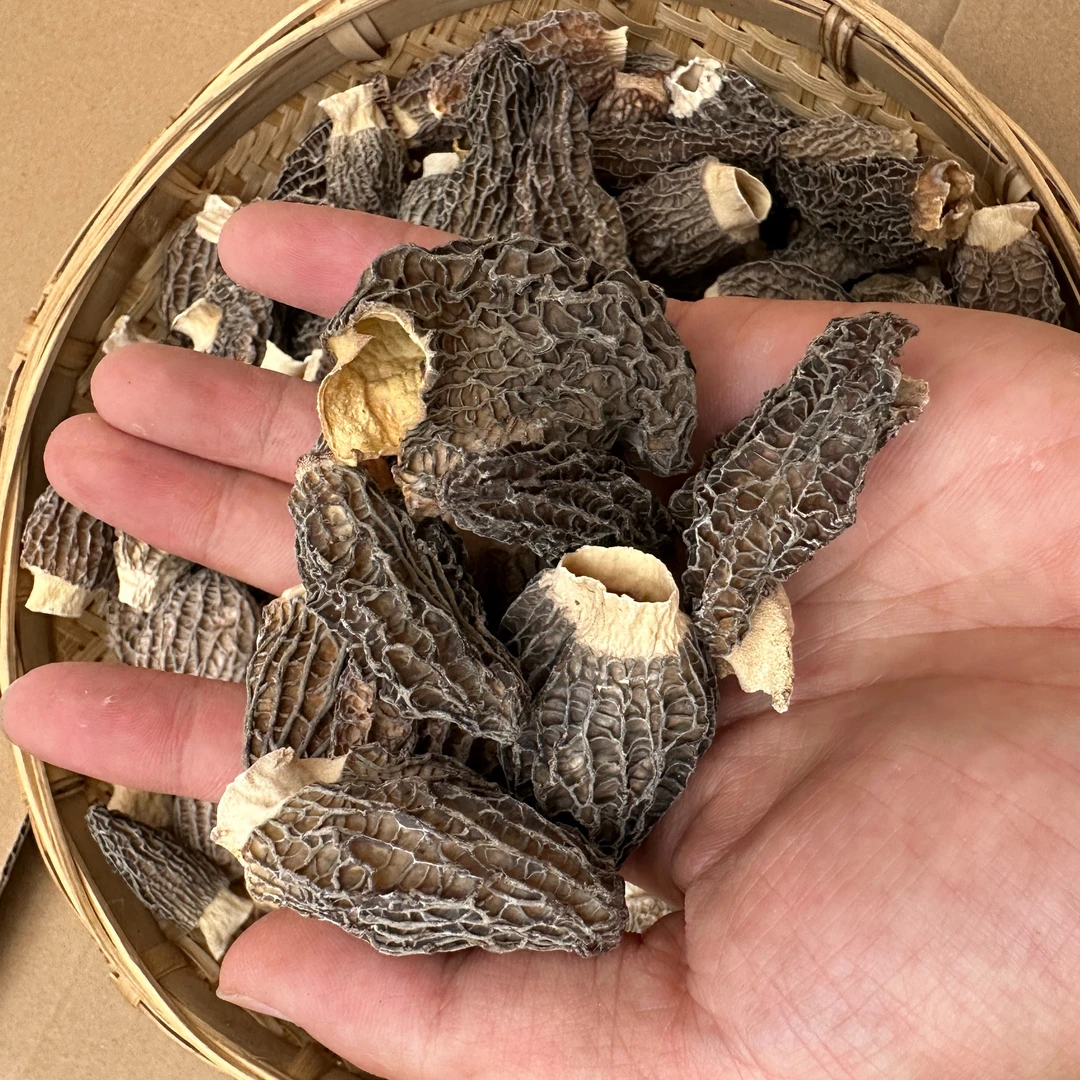 W 现收山货羊肚菌云南 高山干货