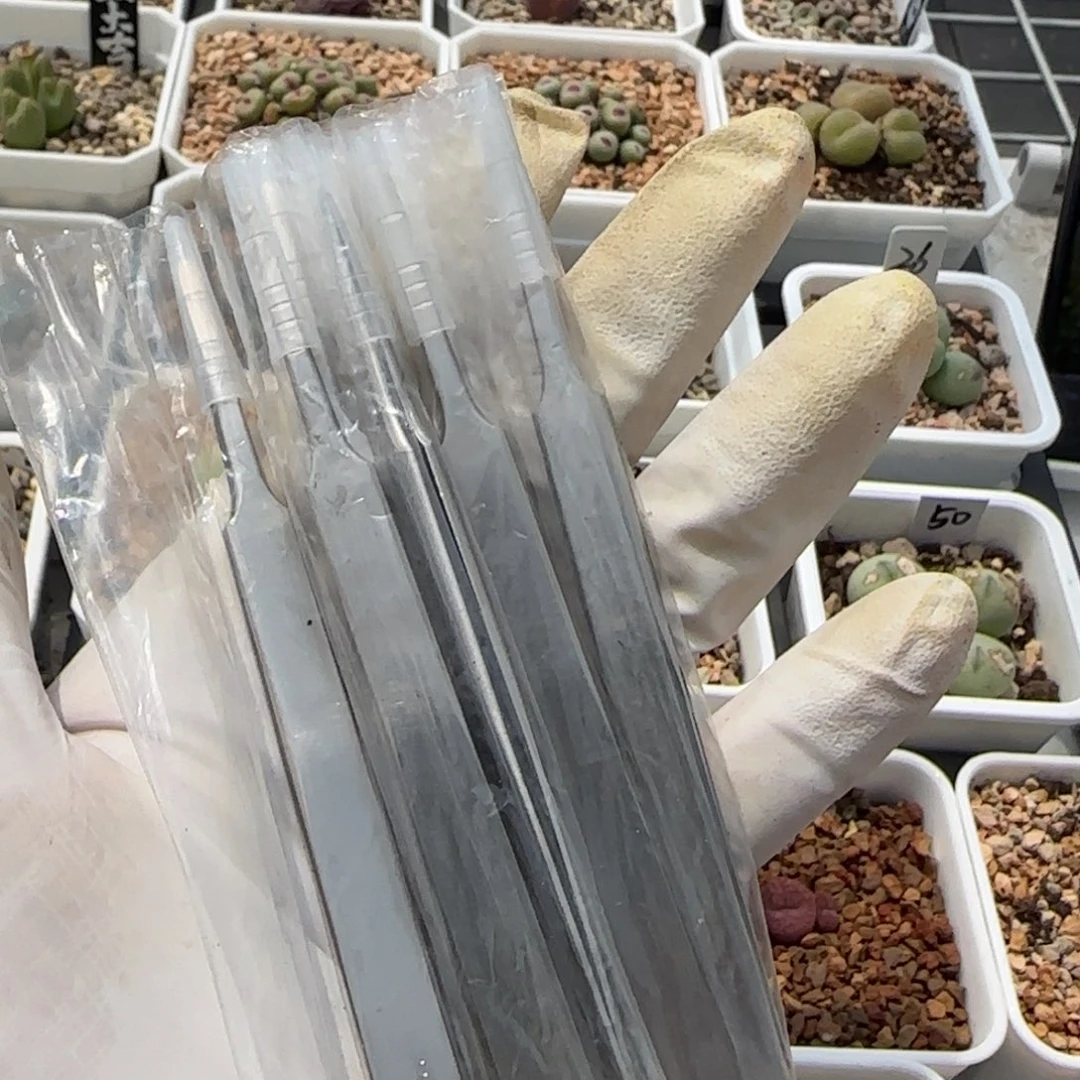 6-12扒皮专用镊子一把包邮