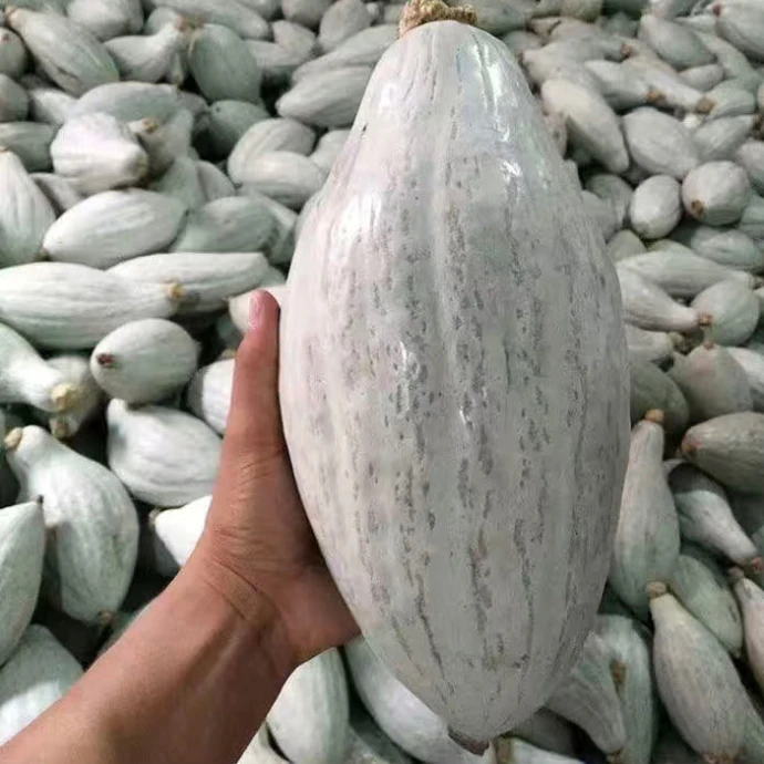 jj丑瓜籽种子今年新种今年新种