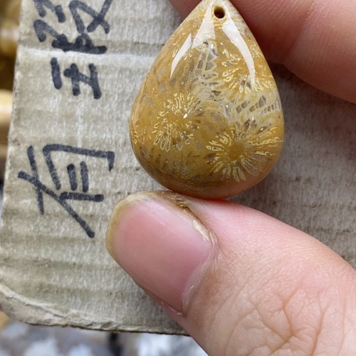 颈饰未镶嵌硅化珊瑚（珊瑚玉）淡*水小