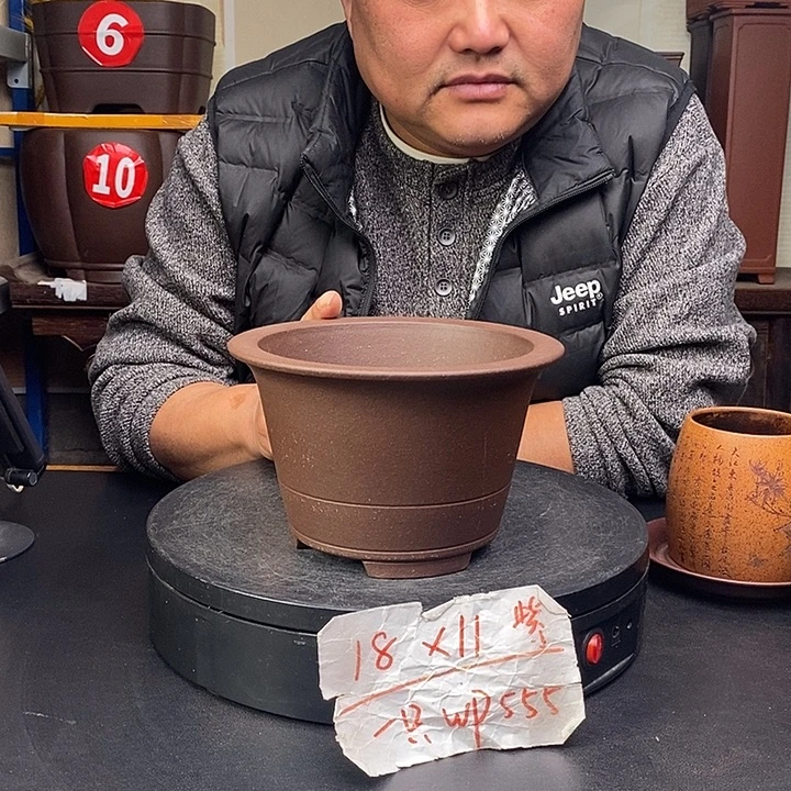 花盆紫砂货号一只WP555