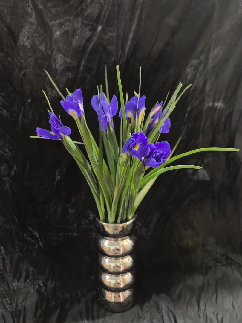 日喀则生活鲜花【鸢尾】10枝（不含花瓶）