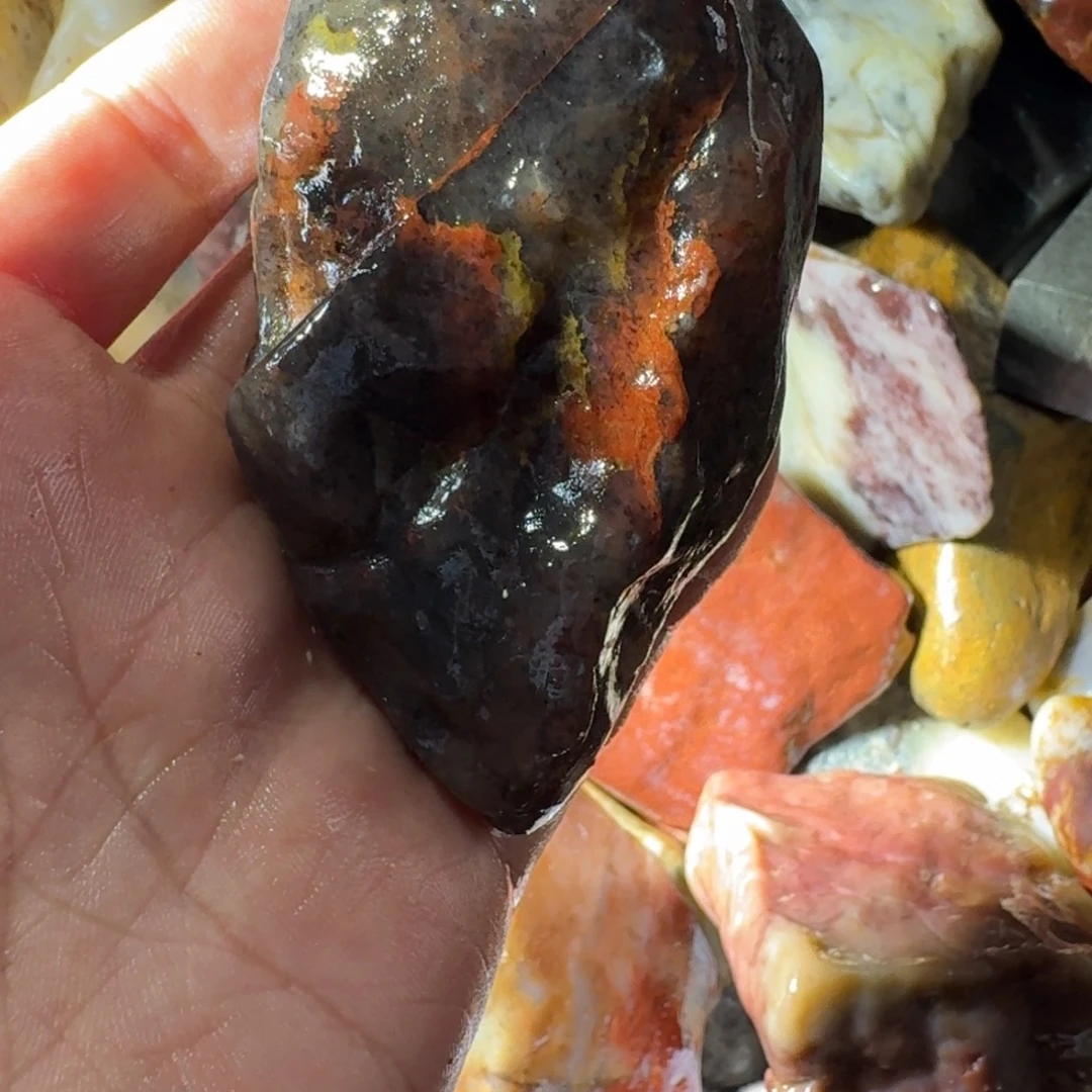 白***树寿山石8888888888888