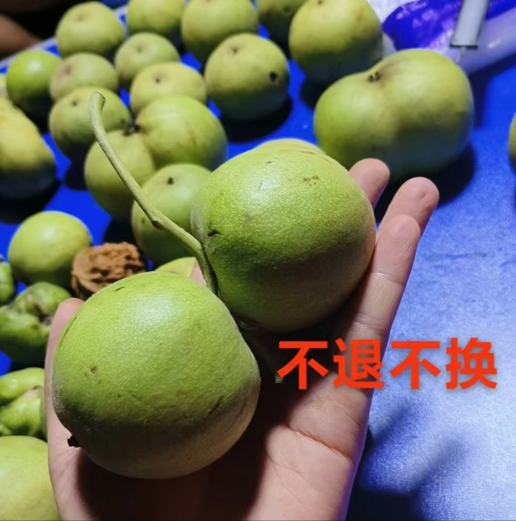 文玩核桃青皮专用，不退不换，150-3227-1676