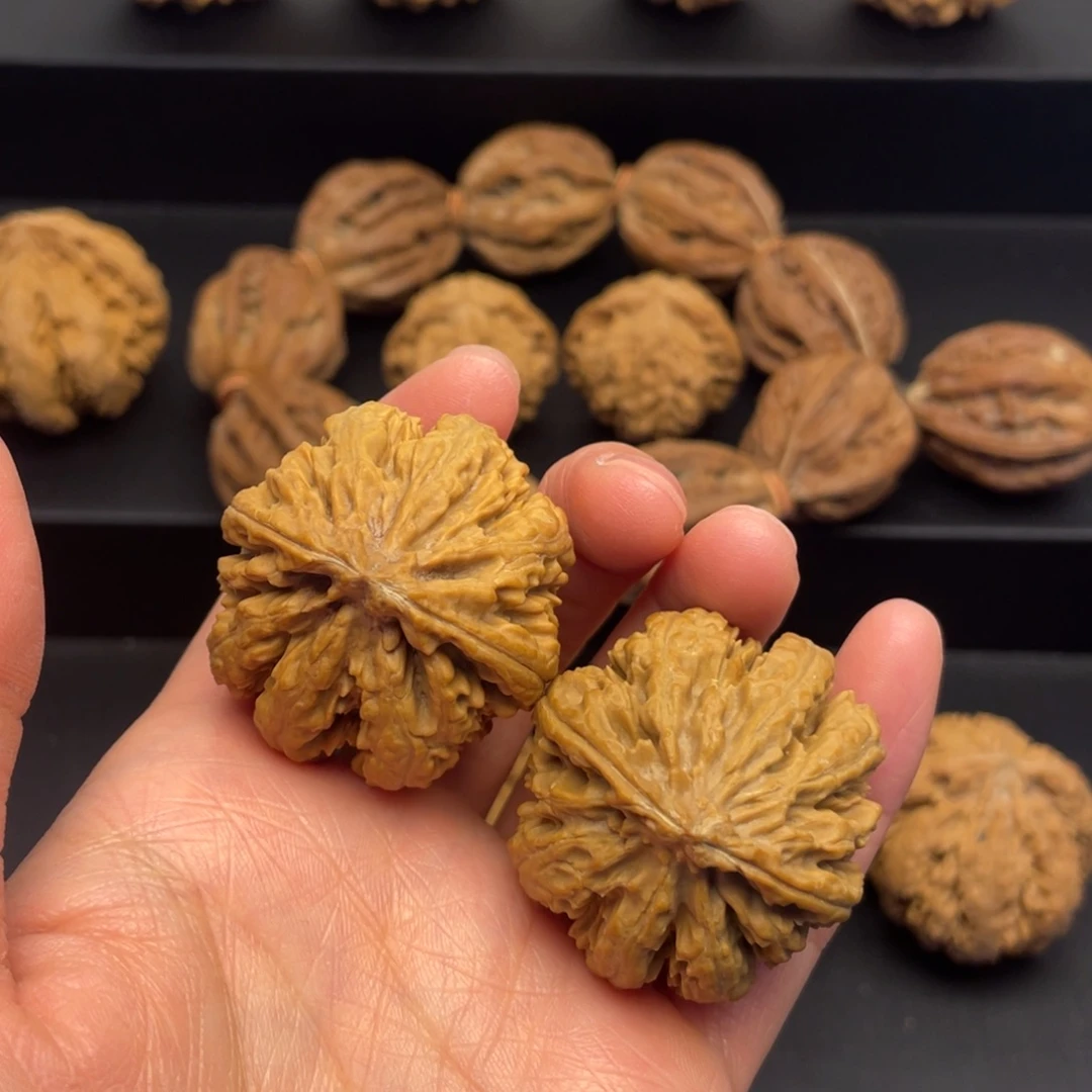 蛮***野核桃秦岭核桃21号