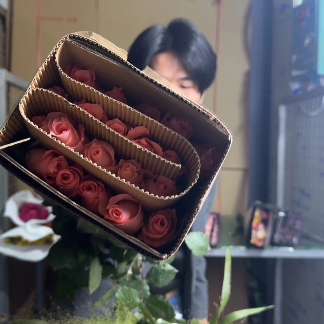 戴安娜1扎。