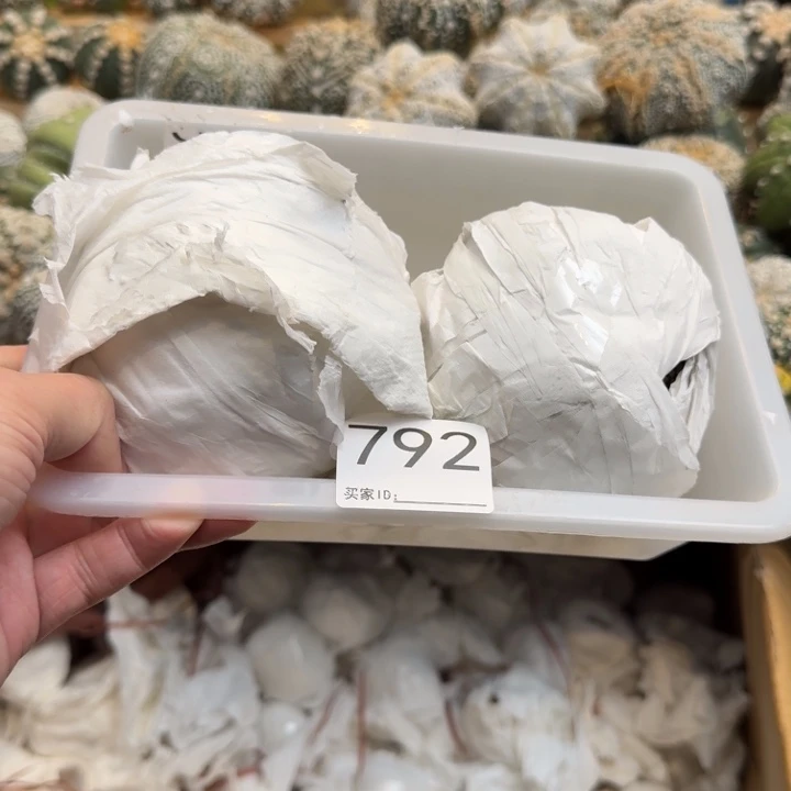 兜星球仙人球792号