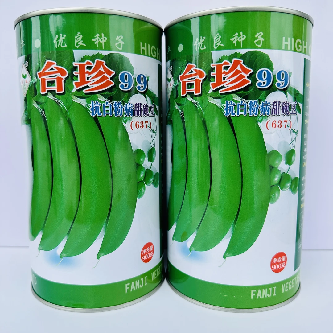 高品质豌豆种子水果甜豌豆种籽  高抗病春秋季甜豌豆种孑大田播种