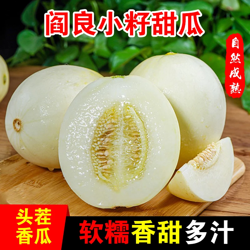 【源头采摘】陕西阎良头茬小籽甜瓜软糯香甜新鲜当季水果整箱发货