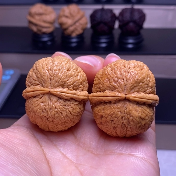 文玩核桃把件脑纹元宝68